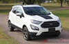 2013-2019 Ford EcoSport AMP Center Hood Accent Vinyl Graphic 3M Stripes Decal