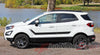 2013-2019 Ford EcoSport Flyout Side Door Stripes and Hood Accent Vinyl Graphic 3M Decal