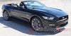 Detailed view of 2015-2017 Ford Mustang Hood Spear Hood Accent Spike Stripes Vinyl Graphics - Wide View