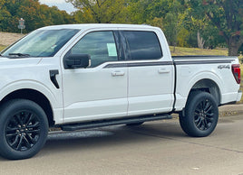 Detailed view of 2021-2026 Ford F-150 FP700 Side Door Stripes Vinyl Body Decals 3M Graphics - ENFORCER SOLID COLOR