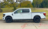 Detailed view of 2021-2026 Ford F-150 FP700 Side Door Stripes Vinyl Body Decals 3M Graphics - ENFORCER SOLID COLOR