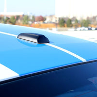 EXAMPLE : XM SATELLITE ANTENNA PRE-CUT