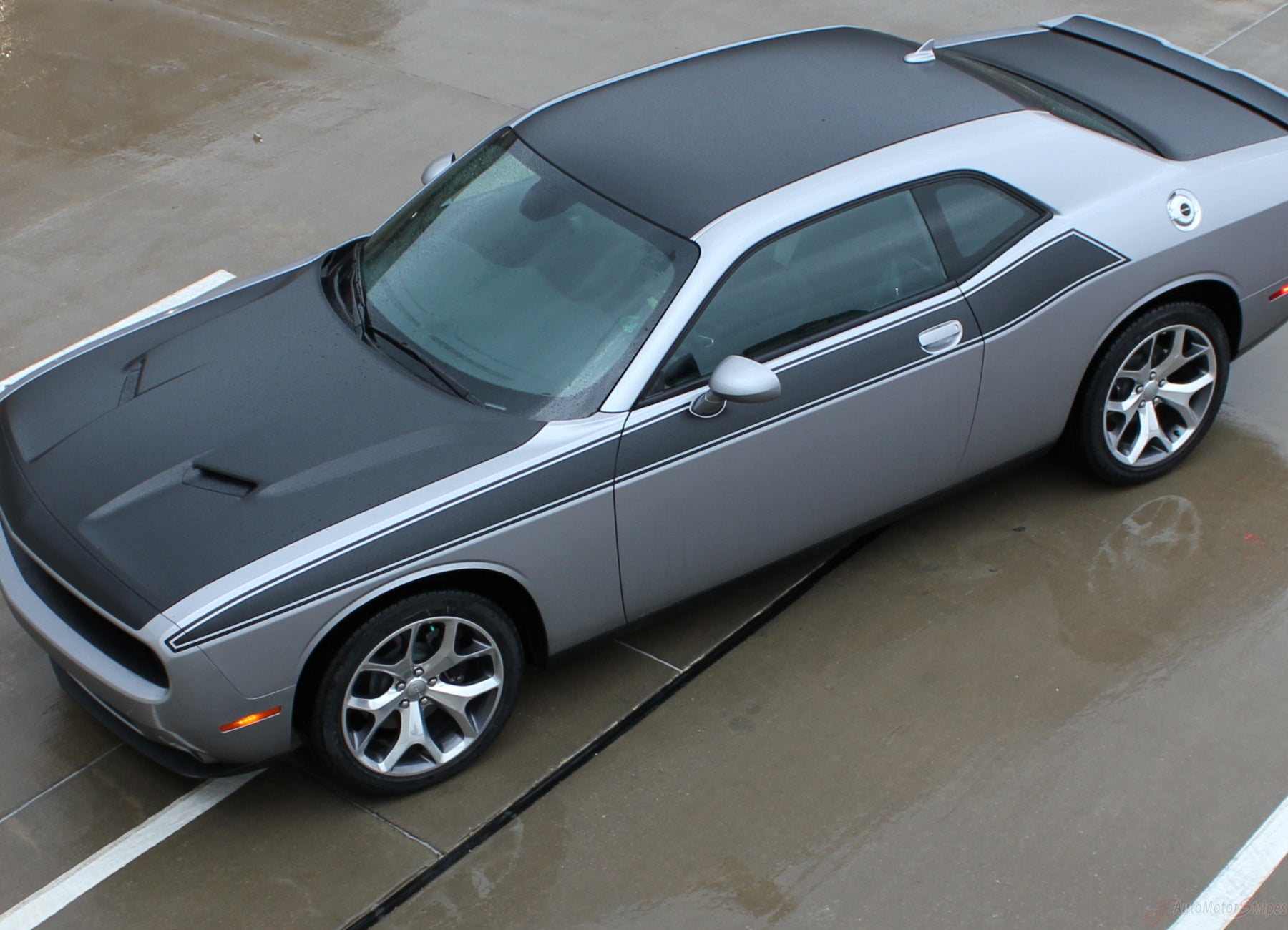 Challenger Rt Graphics 2011-2023 Dodge Challenger Stripes PURSUIT T/A 392 Decal Vinyl Graphic ...