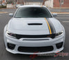 2015-2023 Dodge Charger Crush Euro Style Vinyl Graphics Racing Stripes Kit 3M Factory Quality