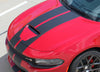 Detailed view of 2015-2023 Dodge Charger N-Charge Rally 15 Factory Quality Mopar Style Vinyl Racing Stripes 3M Graphic Kit