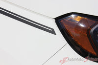 2013-2019 Ford EcoSport AMP Side Door Stripes Accent Vinyl Graphic 3M Decal