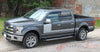 2009-2014 and 2015-2019 Ford F-150 Force One Factory Style Hockey Stick Side Vinyl Decal Graphic - Solid Color Option