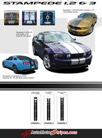 2010 - 2012 Ford Mustang Stampede Factory OEM Style Lemans 10" Racing Rally Stripes Vinyl Graphics 3M Decals