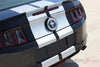2013 2014 Ford Mustang Thunder Lemans Sryle 10 Inch Racing Rally Stripes Vinyl Graphics - Rear View