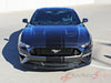 2019 Ford Mustang Racing Stripes Euro XL Rally Stripes Center Wide Vinyl Graphics 3M Decals